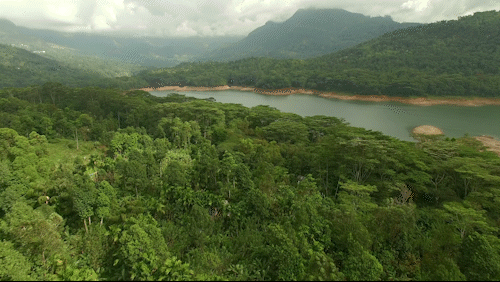 Gif film 2.7 smaller